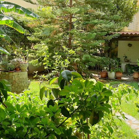אתונה Lovely House מראה חיצוני תמונה