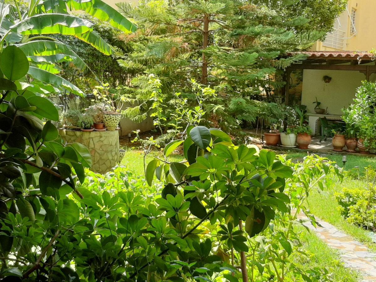 אתונה Lovely House מראה חיצוני תמונה