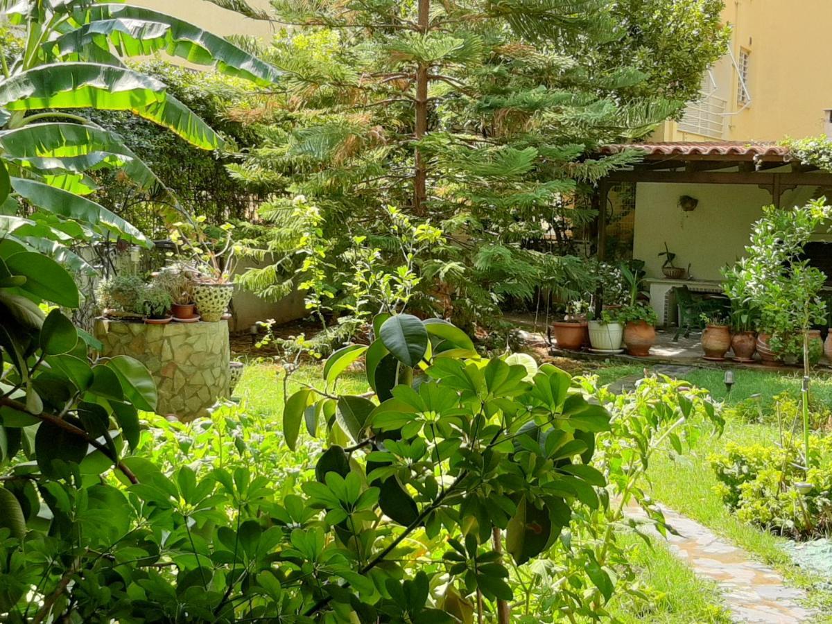 אתונה Lovely House מראה חיצוני תמונה